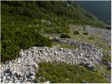 Bodenbauer - Hochstuhl/Stol